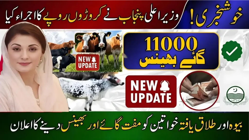 CM Punjab Free Livestock Program