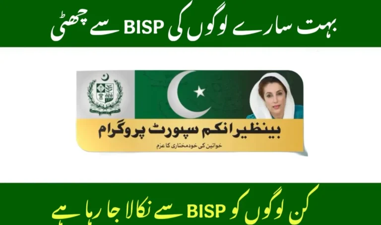 BISP 8171 Update 2025