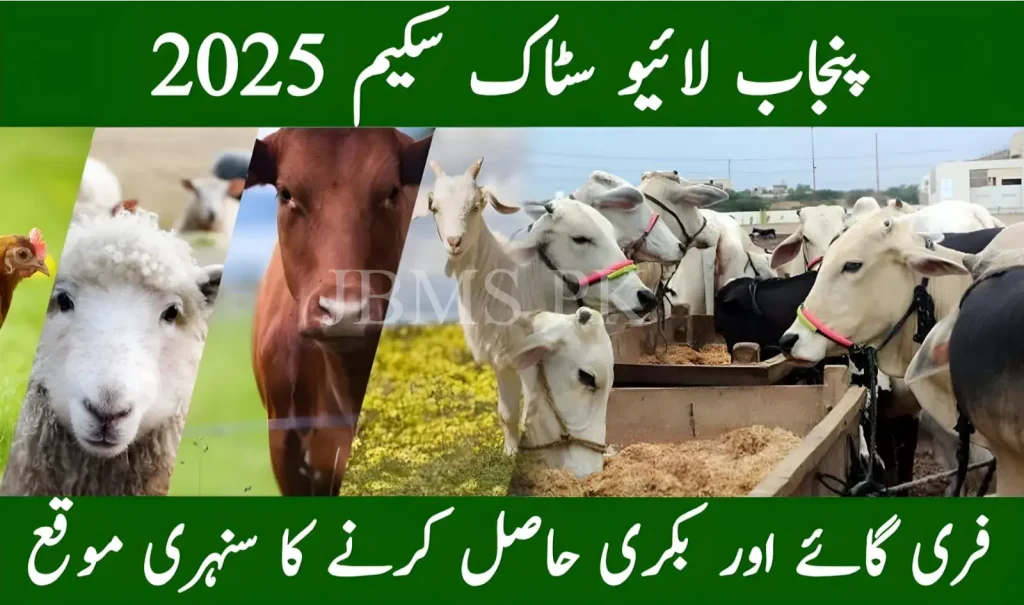 Punjab Livestock Scheme 2025 – Apply for Free Goats & Cows