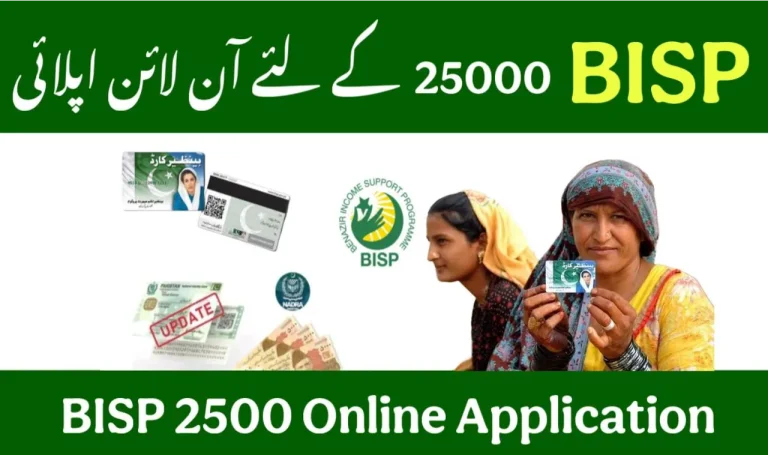 BISP 25000 Online Application Process 2025