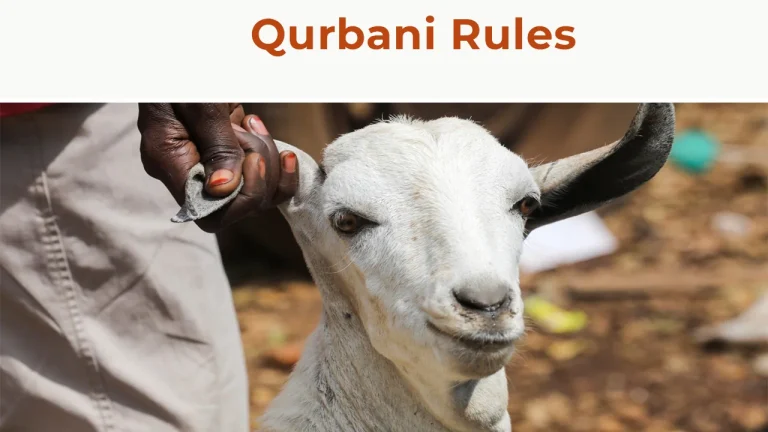 Qurbani Rules 2025 – Complete Islamic Guide to Animal Sacrifice