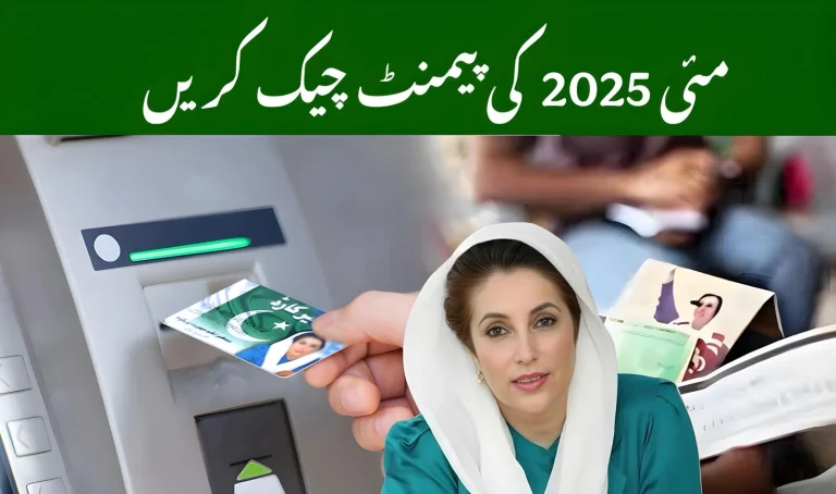 BISP 8171 May 2025 Payment Check by CNIC
