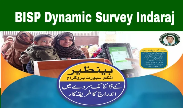 Benazir Income Support Program (BISP) Dynamic Survey Mein Indaraj Ka Asaan Tareeqa