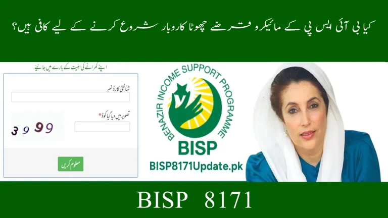 BISP and Microenterprise: Are Small Loans Enough?