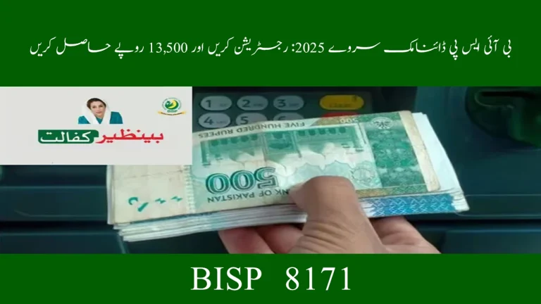 BISP Dynamic Survey 2025: Register Now to Get Rs 13500