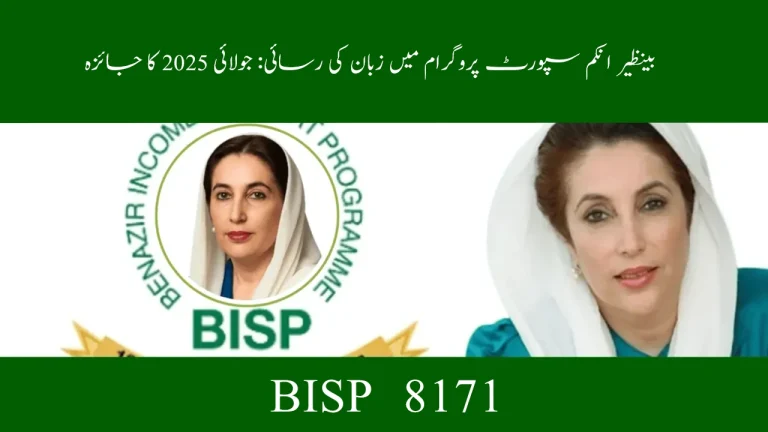 Language Accessibility in BISP: July 2025 Audit