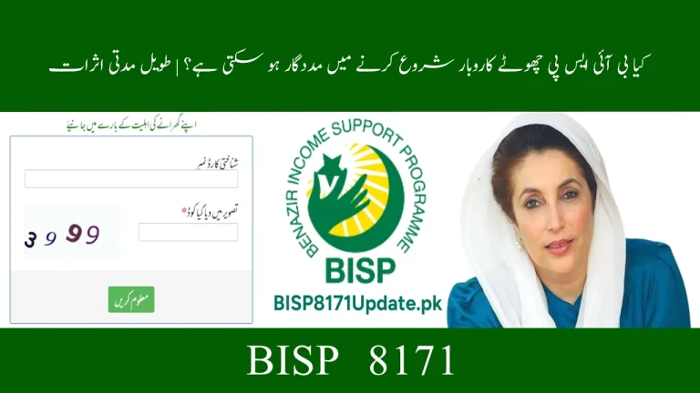 Can BISP Help Start Small Businesses? | Long-Term Impact