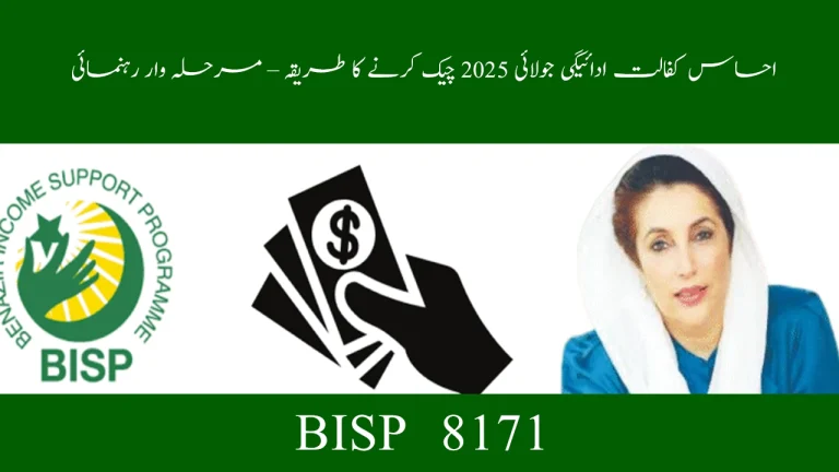 How to Check Ehsaas Kafalat Payment July 2025 – Step-by-Step Guide
