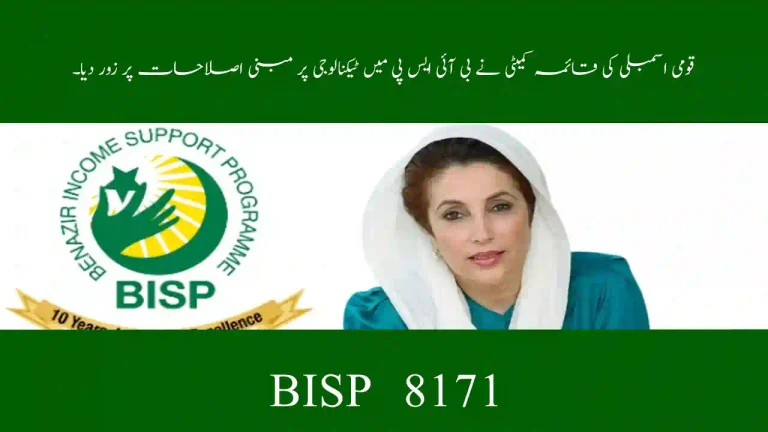 NA Standing Committee Urges Tech-Driven Overhaul of BISP | Digital Banking Pilot 2025